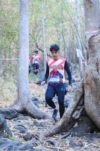 BIB: 2376
                            <button type="button" onclick="openModal(7248173)" class="btn btn-primary btn-sm float-right btn-popup" data-toggle="modal" data-target=".modal-high-quality">
                        <i class="fas fa-shopping-cart"></i> Add to Cart
                    </button>
                                            <button type="button" onclick="isThisMe(7248173, true)" class="btn btn-success btn-sm float-right btn-popup btn-isme hidden" data-toggle="tooltip" data-placement="bottom" title="นี่คือรูปของคุณใช่ไหม คลิกที่นี่เพื่อเอาเข้าอัลบั้ม">
                        <i class="fas fa-plus"></i> Add to album
                    </button>
                    <button type="button" onclick="isThisMe(7248173, false)" class="btn btn-warning btn-sm float-right btn-popup btn-isnotme hidden">
                        <i class="fas fa-ban"></i> Remove from album
                    </button>